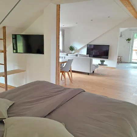 Bergblick Loft * אשאו אים כימגאו